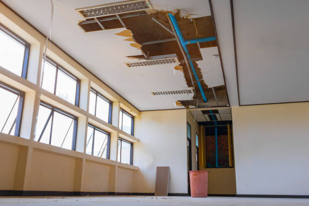 Best Water damage restoration cost  in New Roads, LA