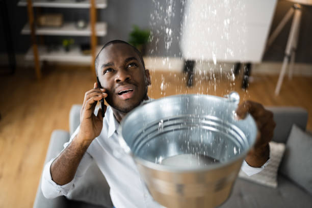 Best Ceiling water damage repair  in New Roads, LA