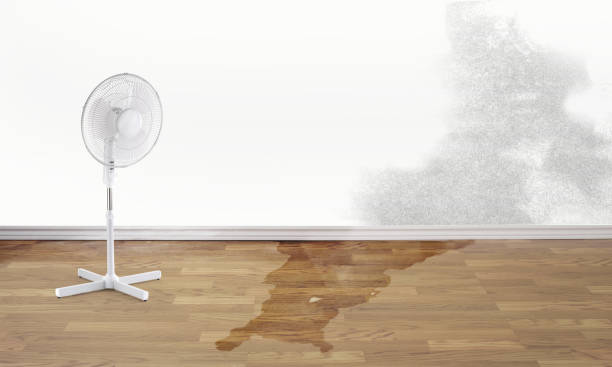 Best Flooded house restoration  in New Roads, LA