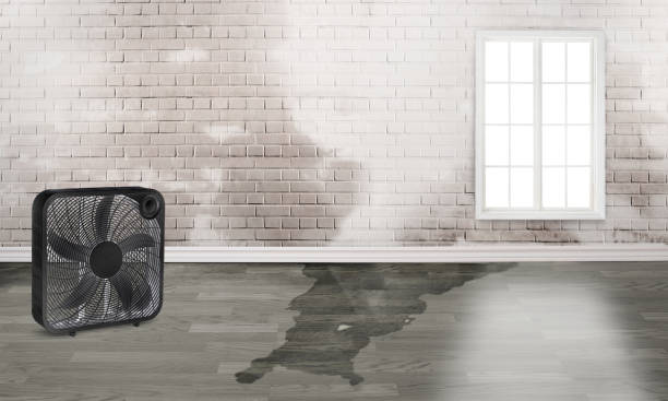 Professional Water damage restoration in New Roads, LA