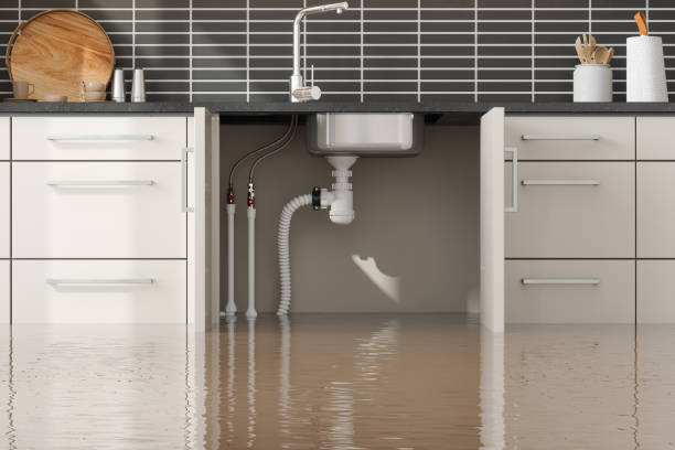 Best Water damage restoration near me  in New Roads, LA